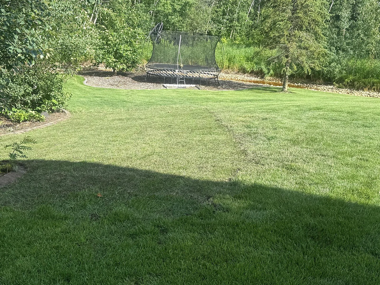 Green lawn maintained within landscaped backyard