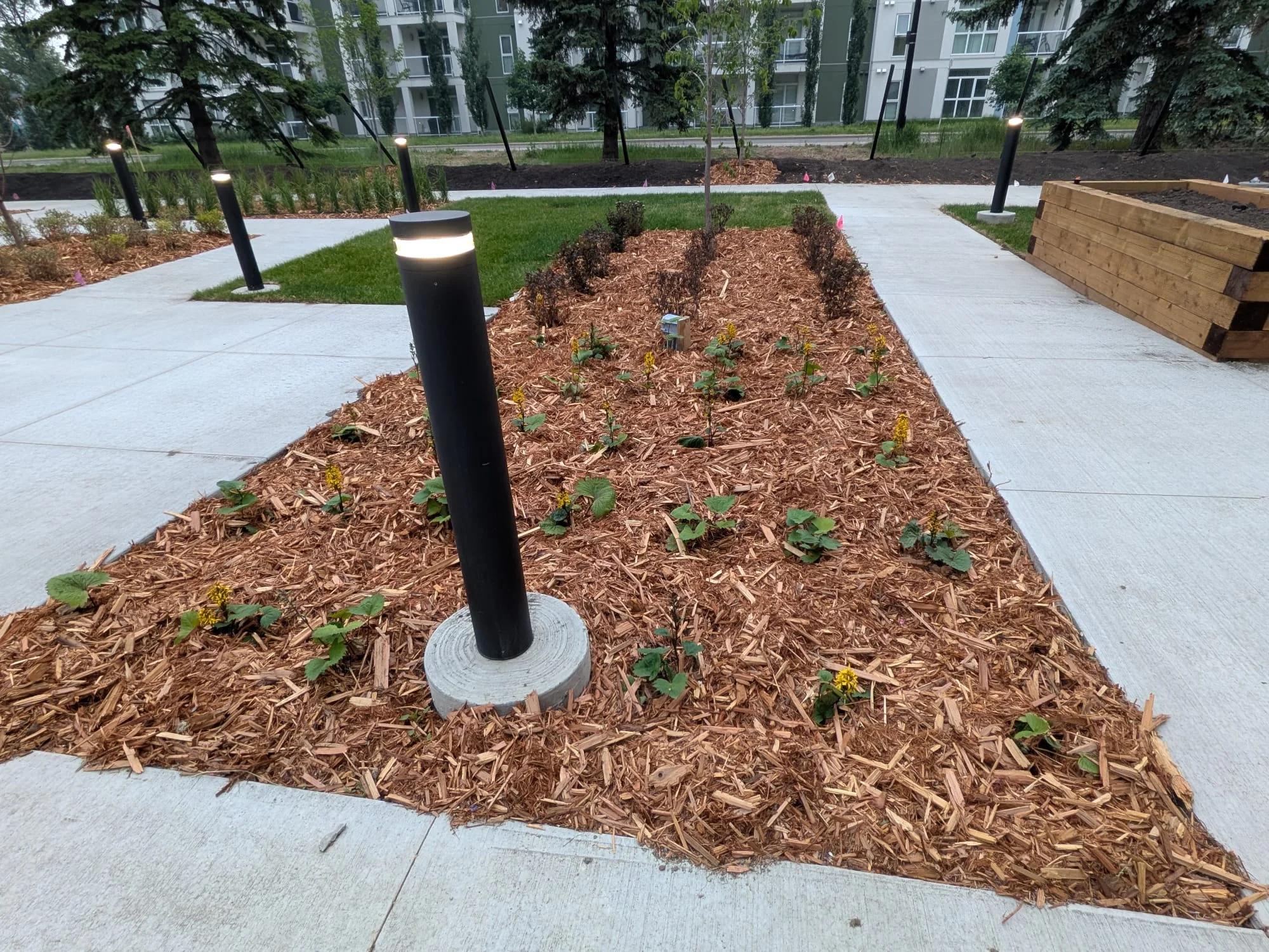Flower bed planting and mulch finish