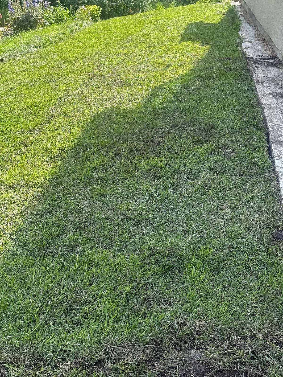 Grass edge and adjoining concrete border