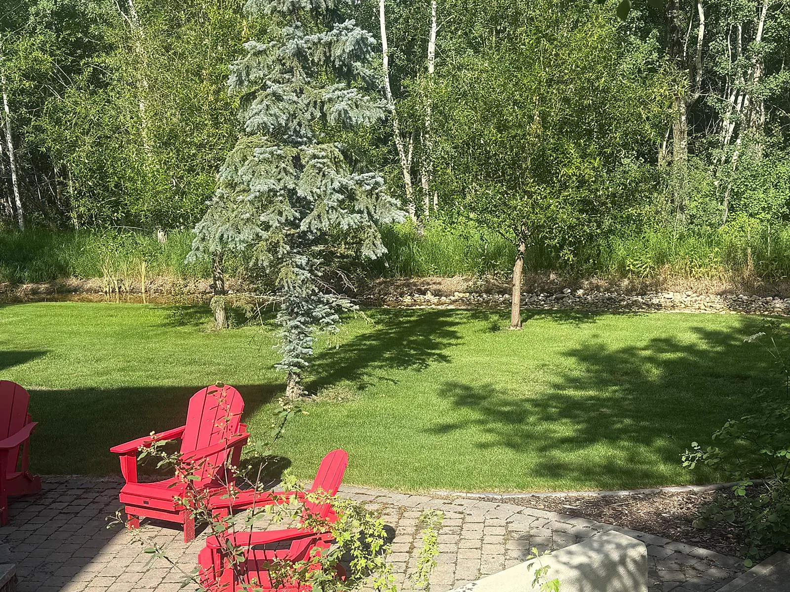 Wide view of established residential lawn and landscaped garden