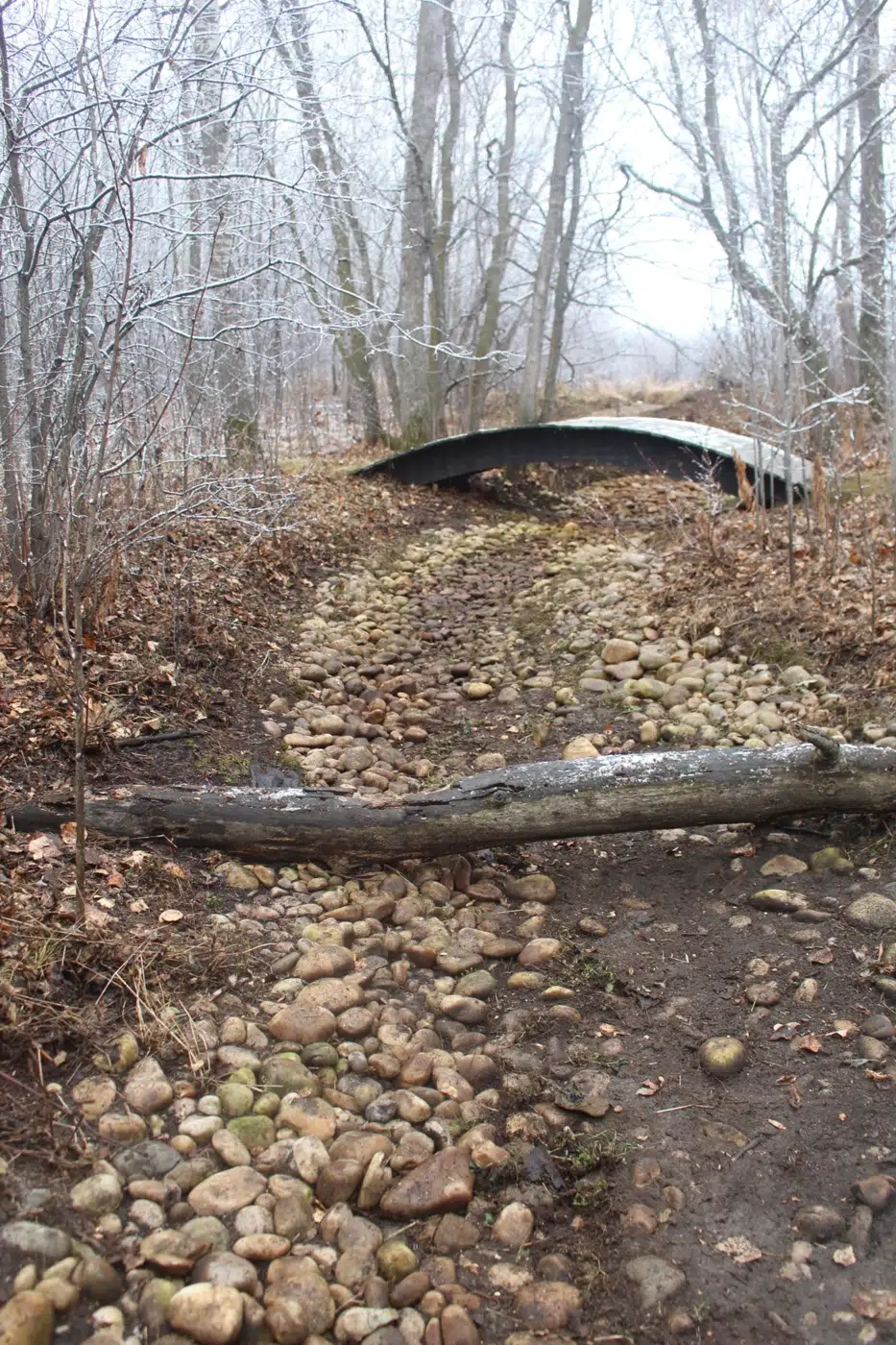 Creek Crossing