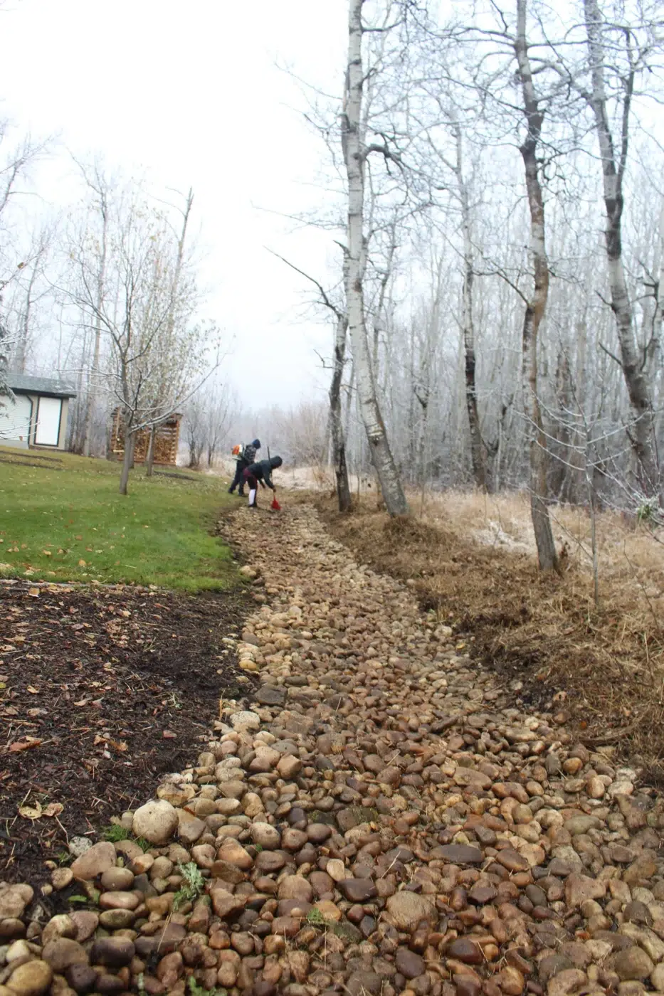 Creek Maintenance