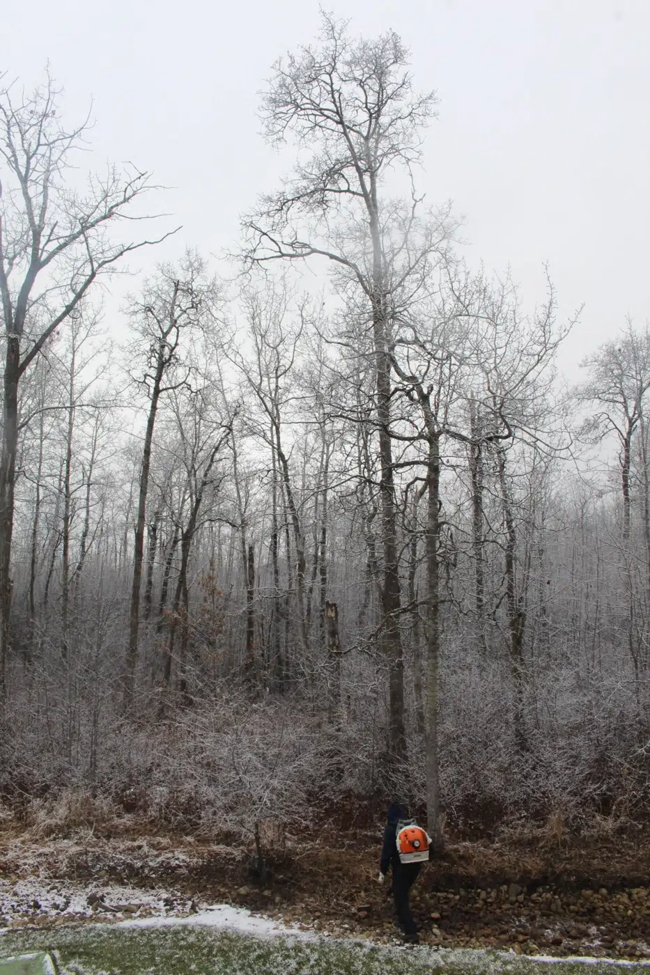 Winter Site Cleanup