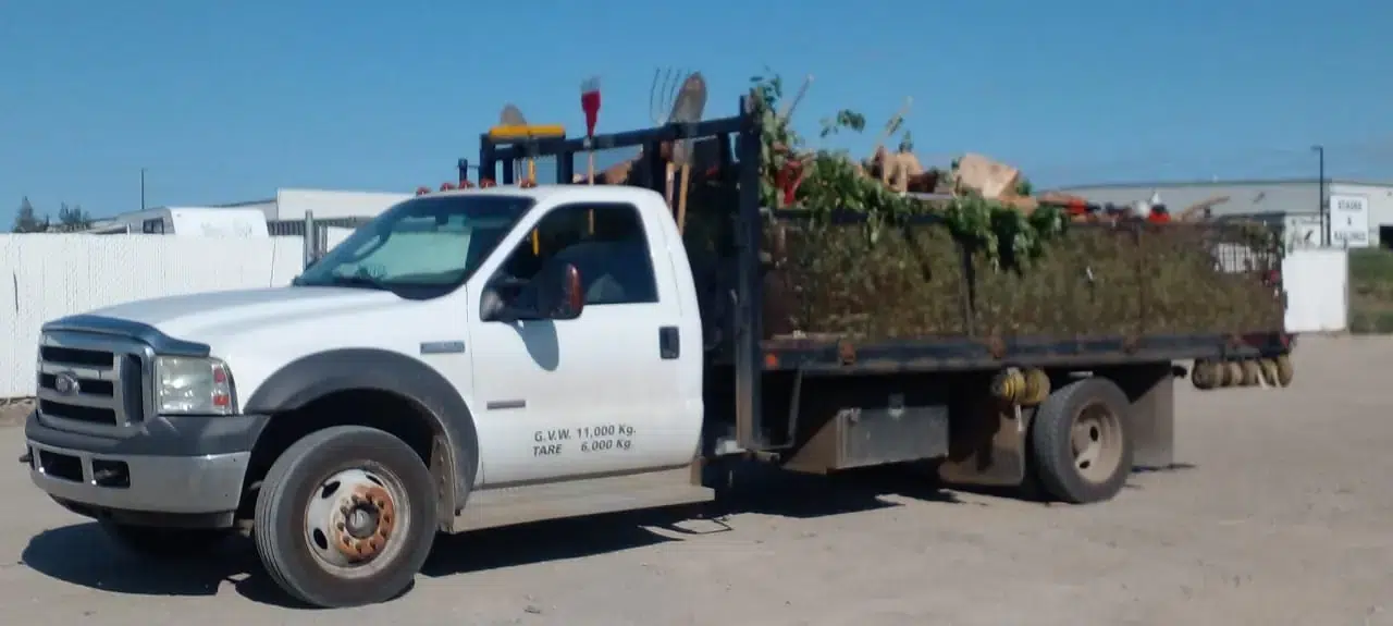 Yard debris loaded on a work truck