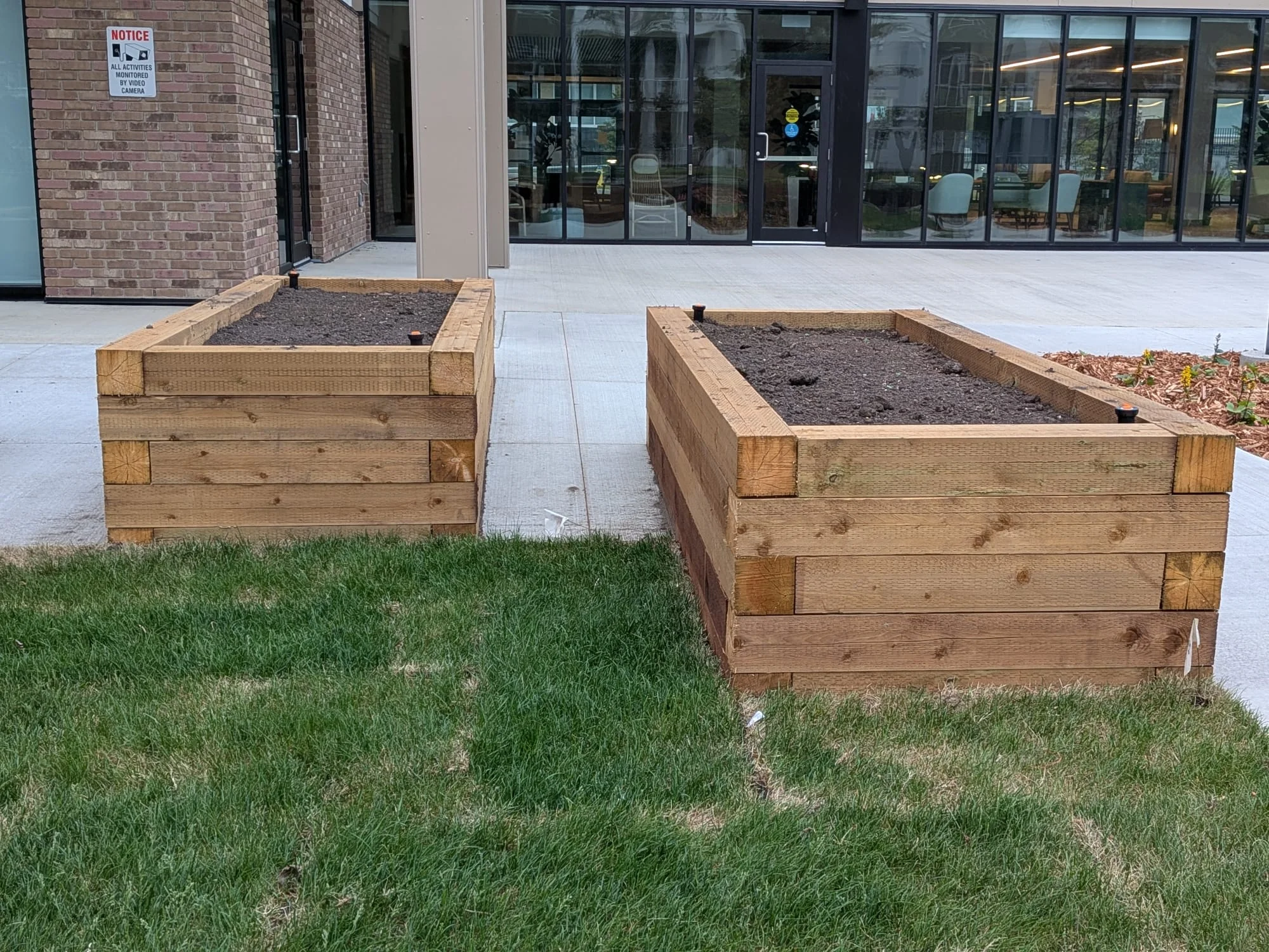 Two timber raised planting beds by building entrance