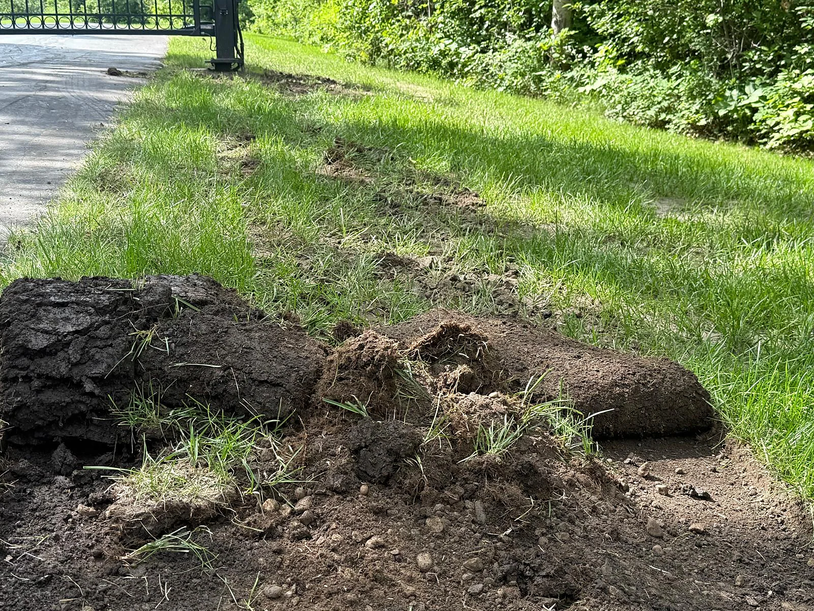 Grass and soil removed ahead of landscape repairs