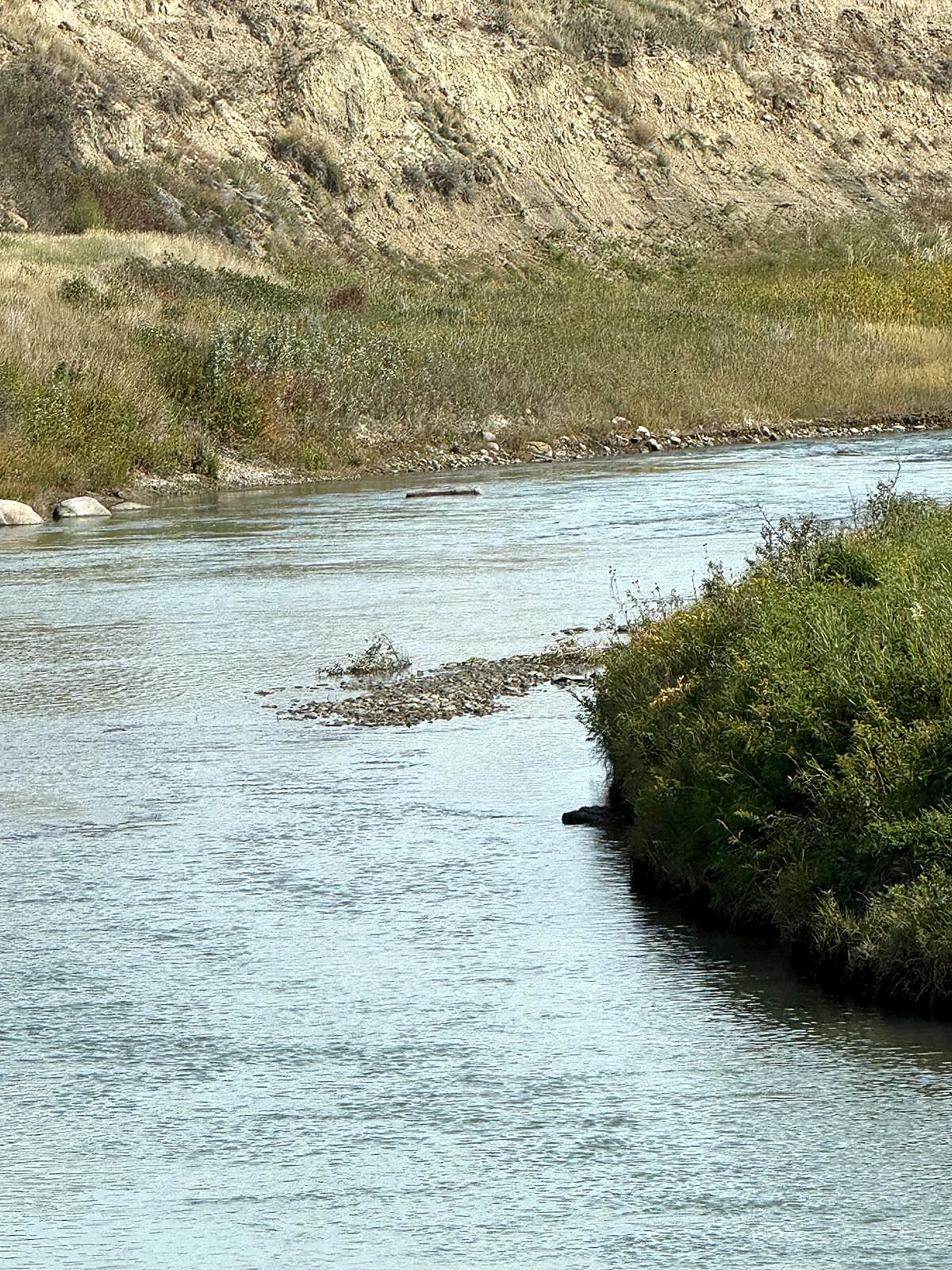 Calm Southern Alberta creek with grassy banks and natural prairie river scenery