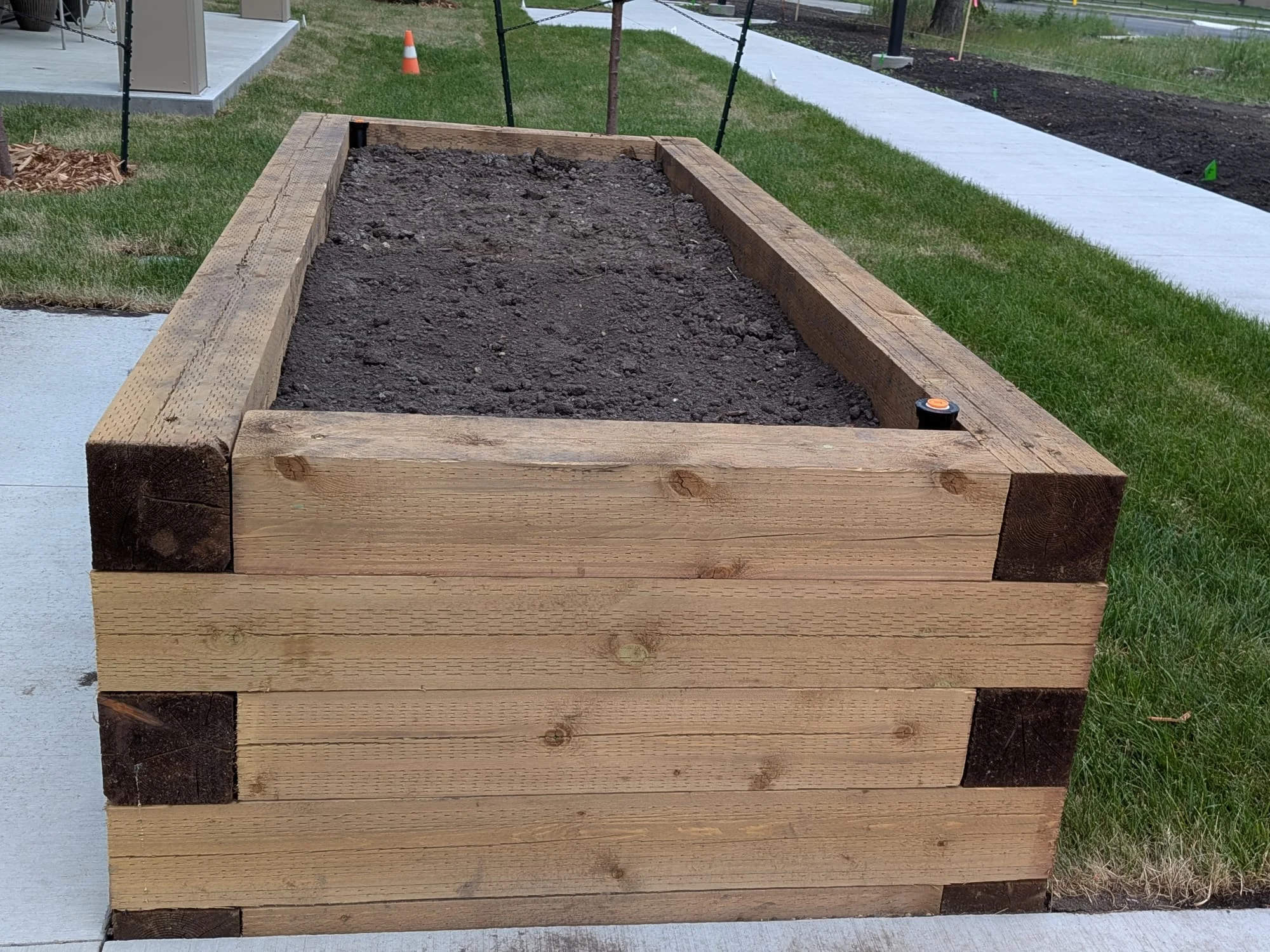 Built timber planter filled with soil