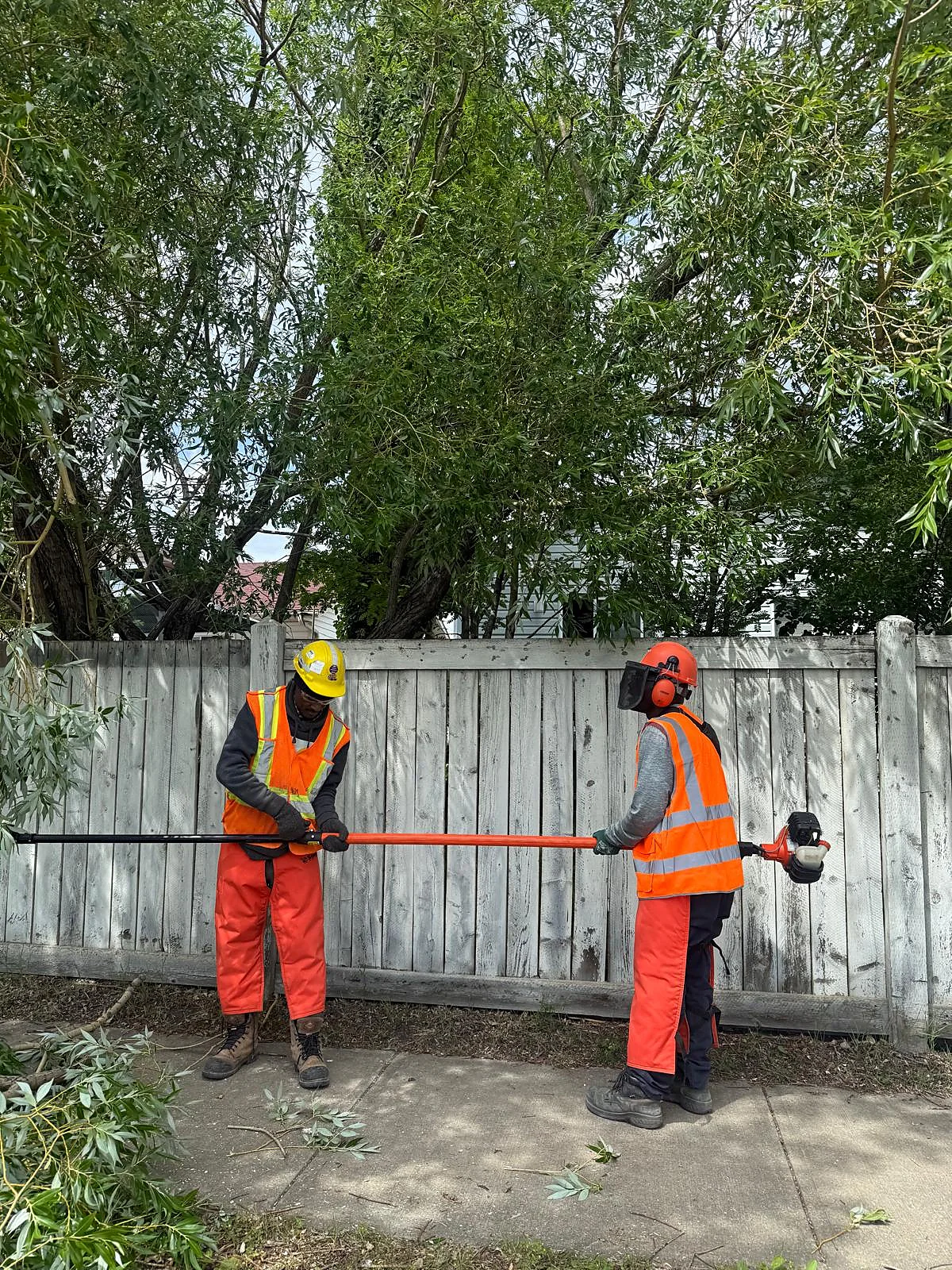 Crew handling long-reach pruning equipment